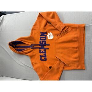 Tigers Clemson University Hoodie Paw Print - Purple Strings
